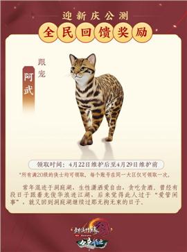 天龙八部私服花屏win8